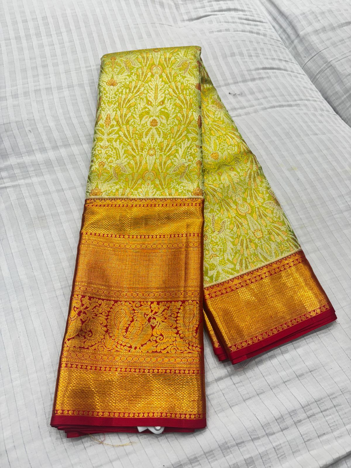 Kanchi Tissue Meenakari Saree