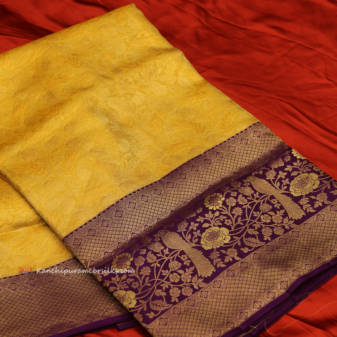 KANCHI PISTA GOLD SAREE