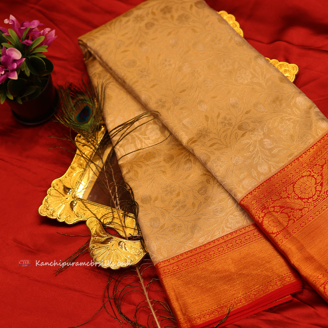 KANCHI CREAM COLD SAREE