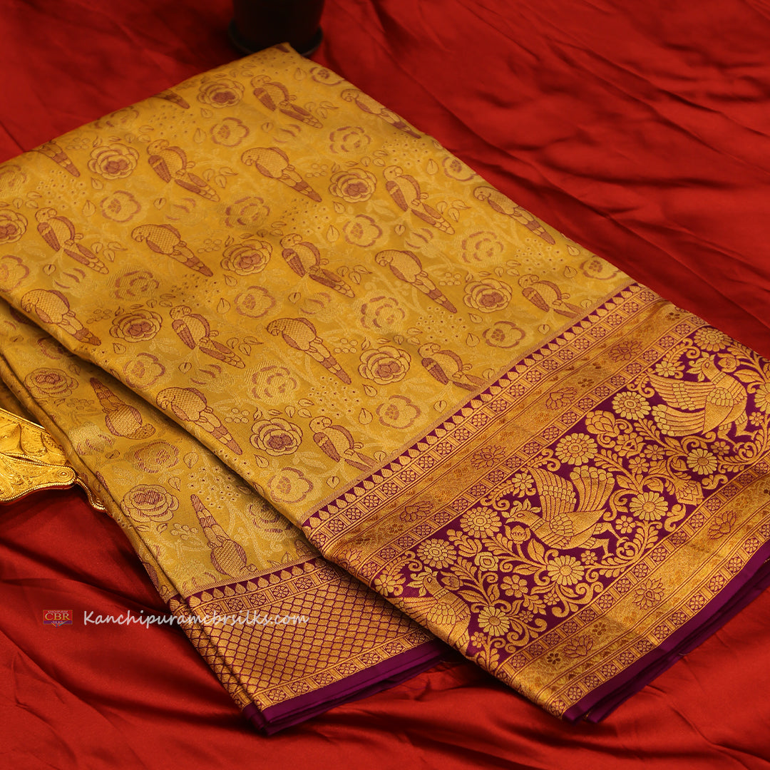 KANCHI SUNSHINE GOLD SAREE