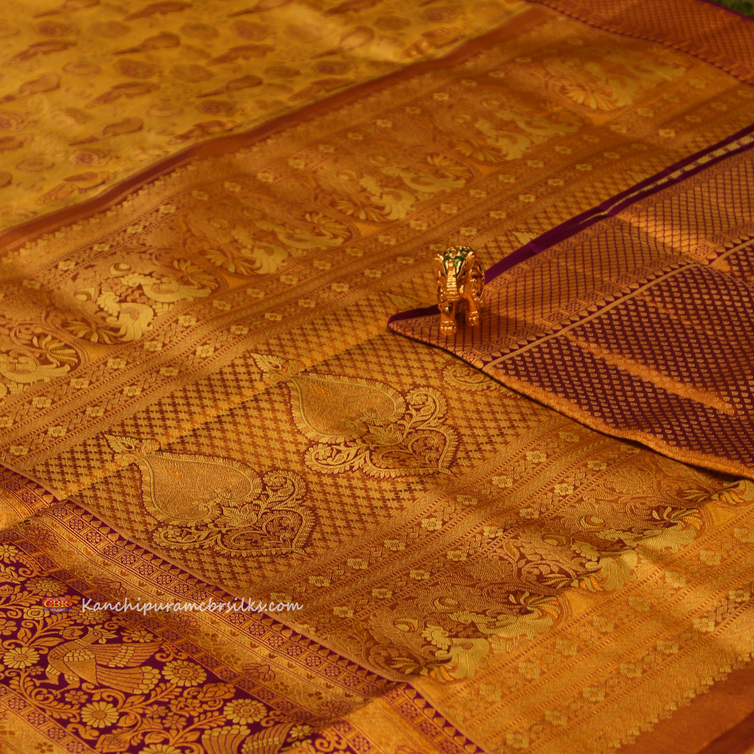 KANCHI SUNSHINE GOLD SAREE