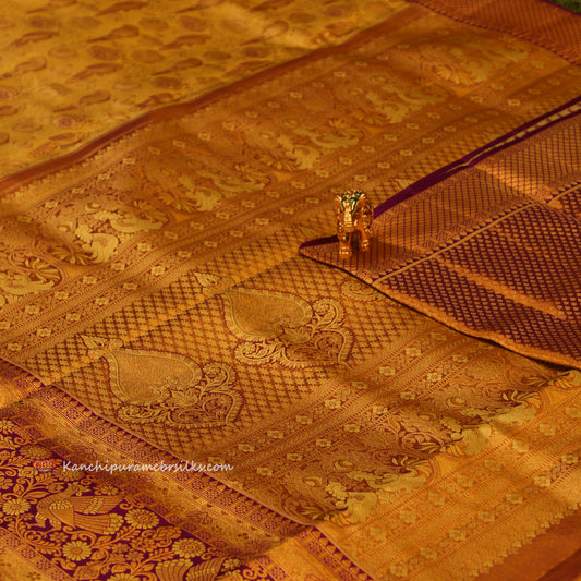 KANCHI SUNSHINE GOLD SAREE