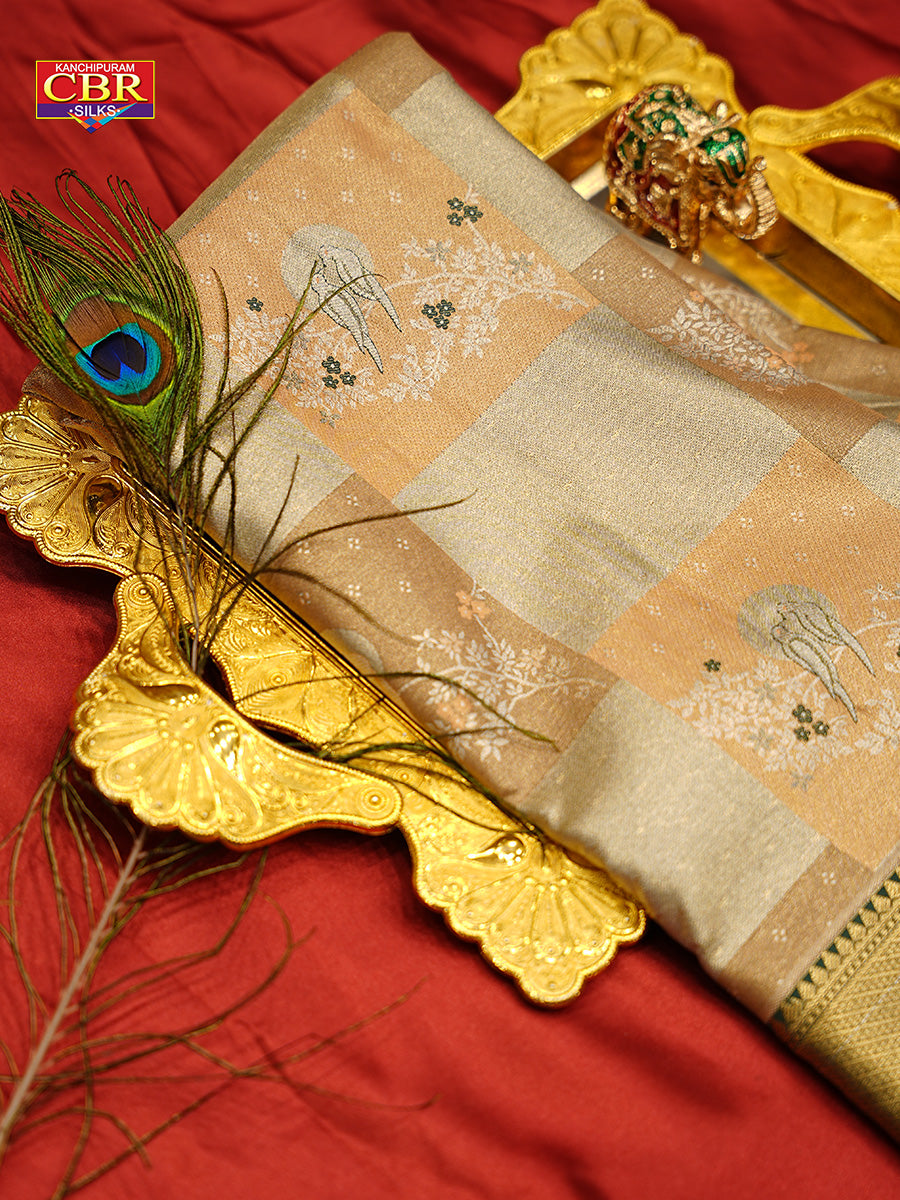 KANCHI FESTEL COLOUR SAREE