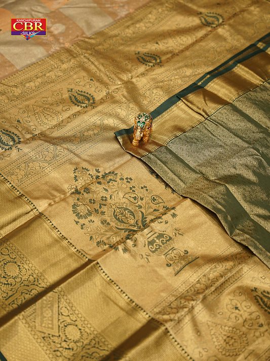 KANCHI FESTEL COLOUR SAREE